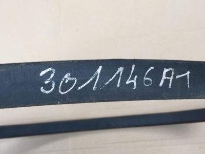 301146A1